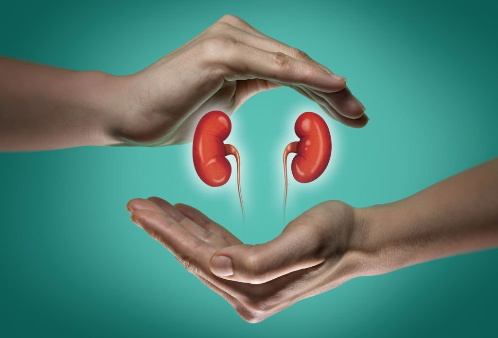 kidney health